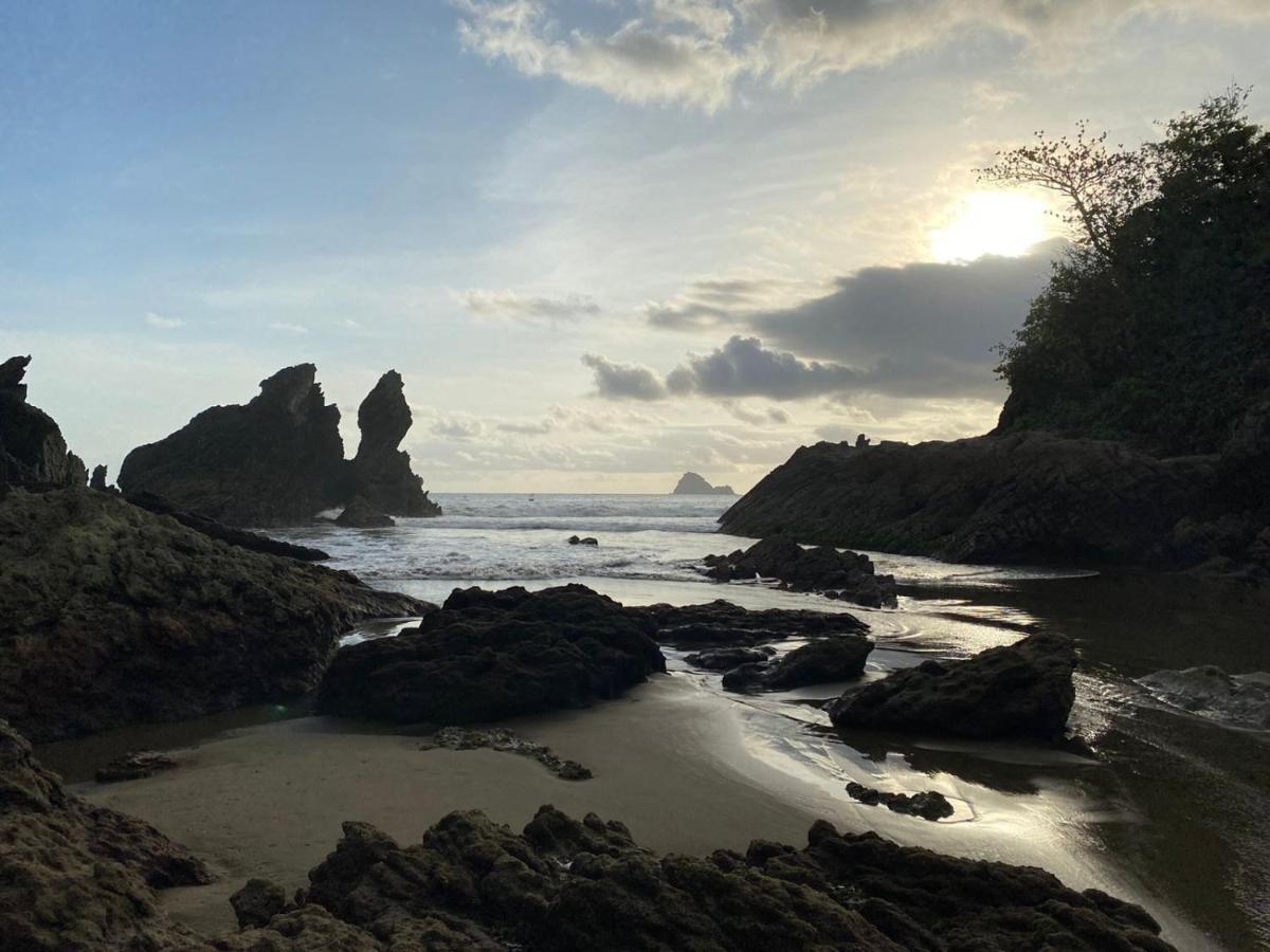 Adventure Turtle Homestay Meru Betiri Sarungan ภายนอก รูปภาพ