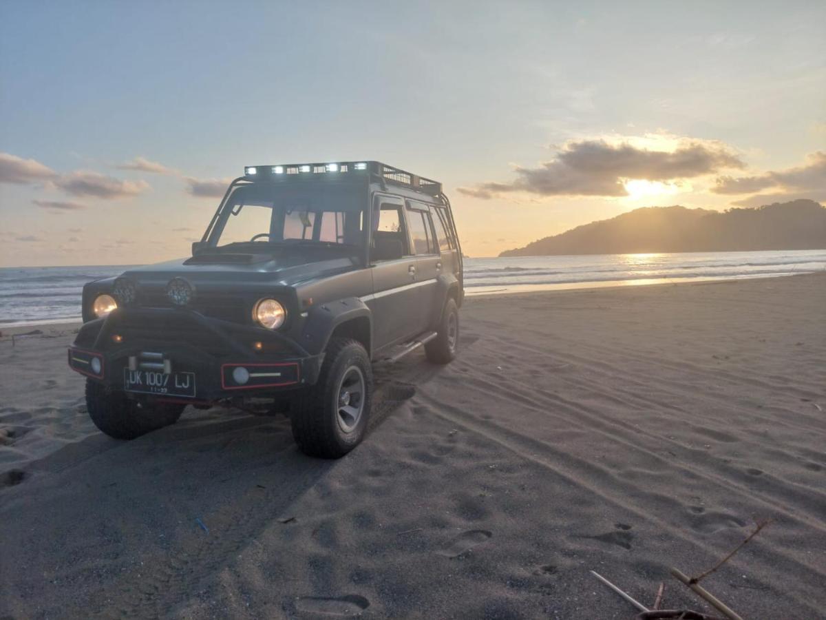 Adventure Turtle Homestay Meru Betiri Sarungan ภายนอก รูปภาพ