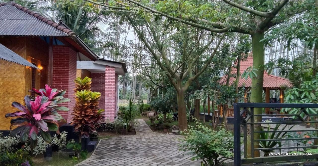 Adventure Turtle Homestay Meru Betiri Sarungan ภายนอก รูปภาพ