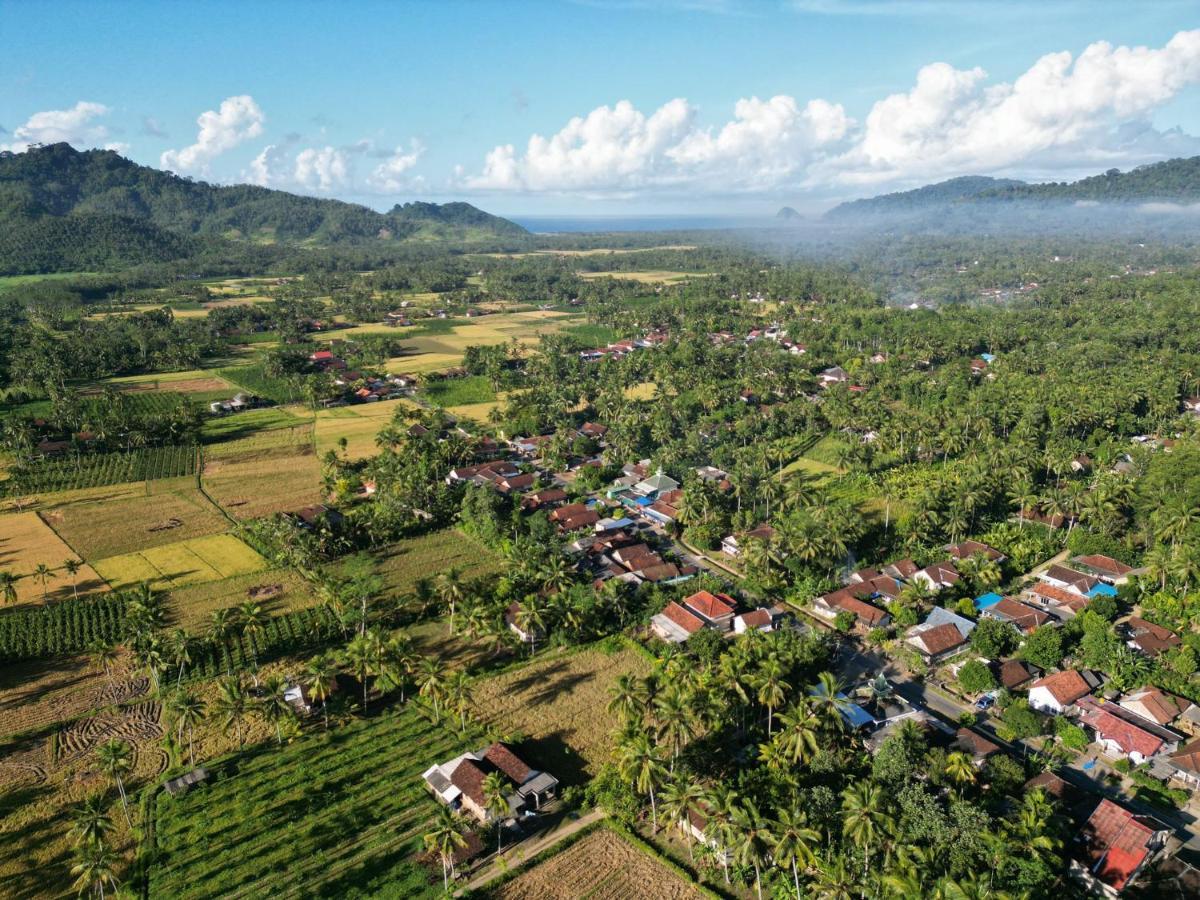 Adventure Turtle Homestay Meru Betiri Sarungan ภายนอก รูปภาพ