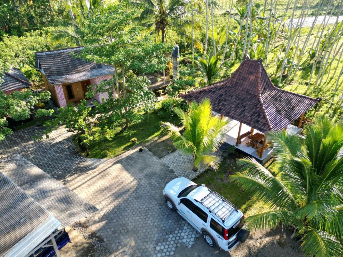 Adventure Turtle Homestay Meru Betiri Sarungan ภายนอก รูปภาพ