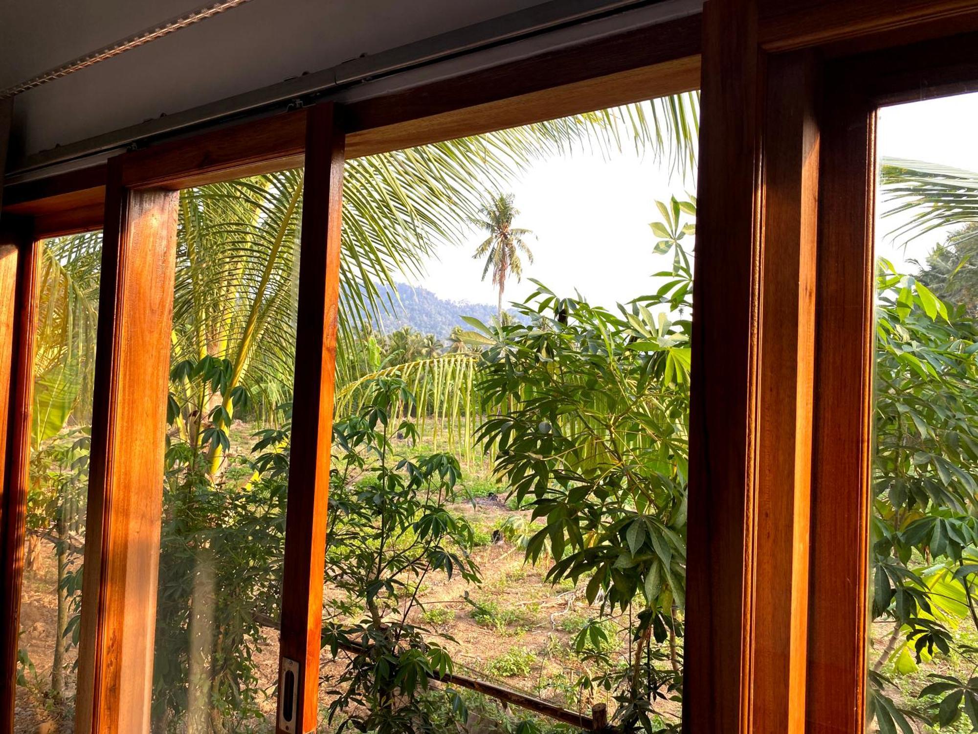Adventure Turtle Homestay Meru Betiri Sarungan ภายนอก รูปภาพ