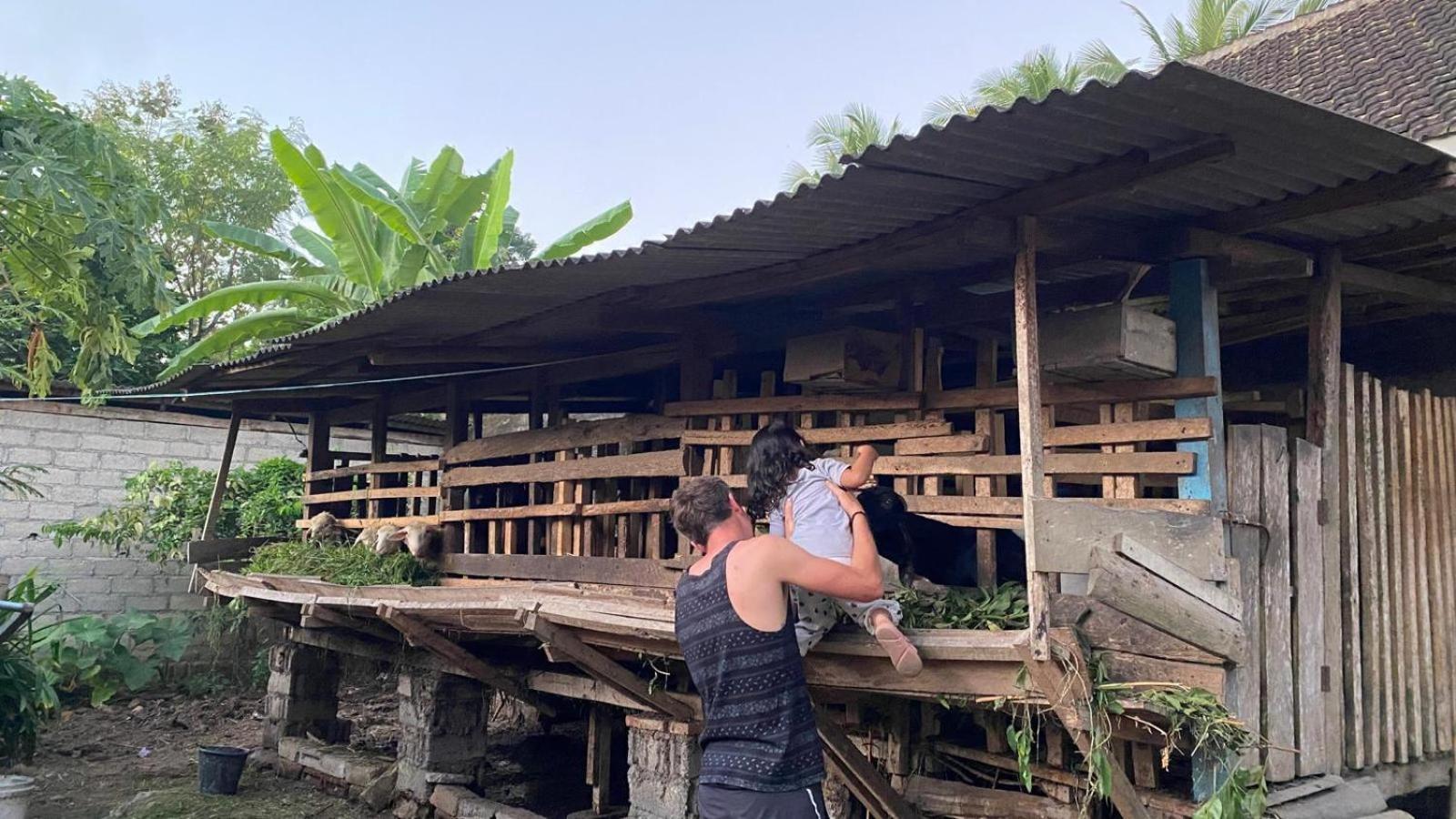 Adventure Turtle Homestay Meru Betiri Sarungan ภายนอก รูปภาพ